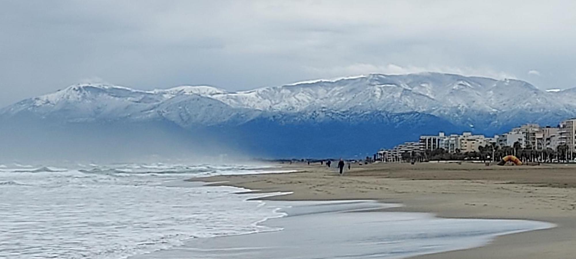 Chambres D'Hotes Un Ete Sans Fin A 50 M De La Plage A Canet Plage エクステリア 写真